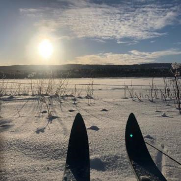 Swedish skis.png