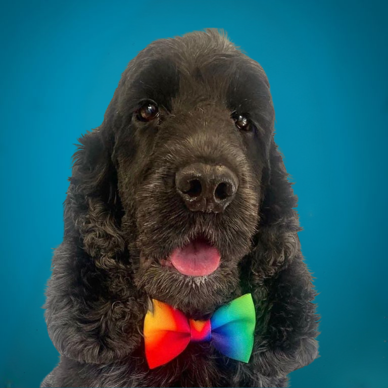 Otis